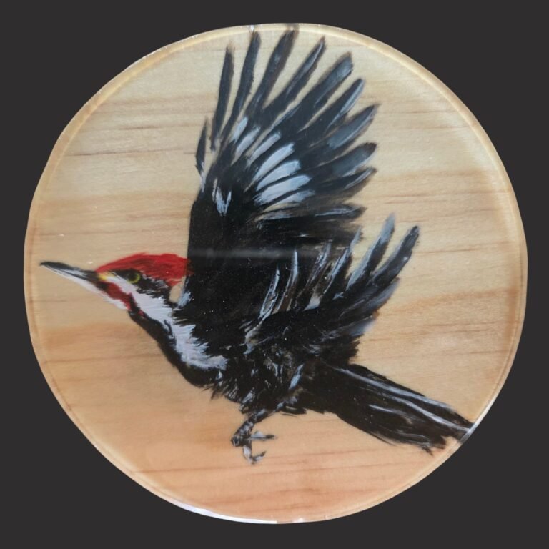 Hand-painted woodpecker coaster featuring original bird artwork